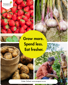 Strawberry Garlic Potato Combo